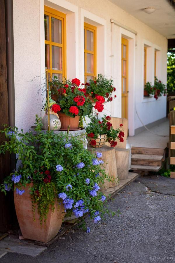 Gostilna Logar Hotel Hotemaze Exterior photo